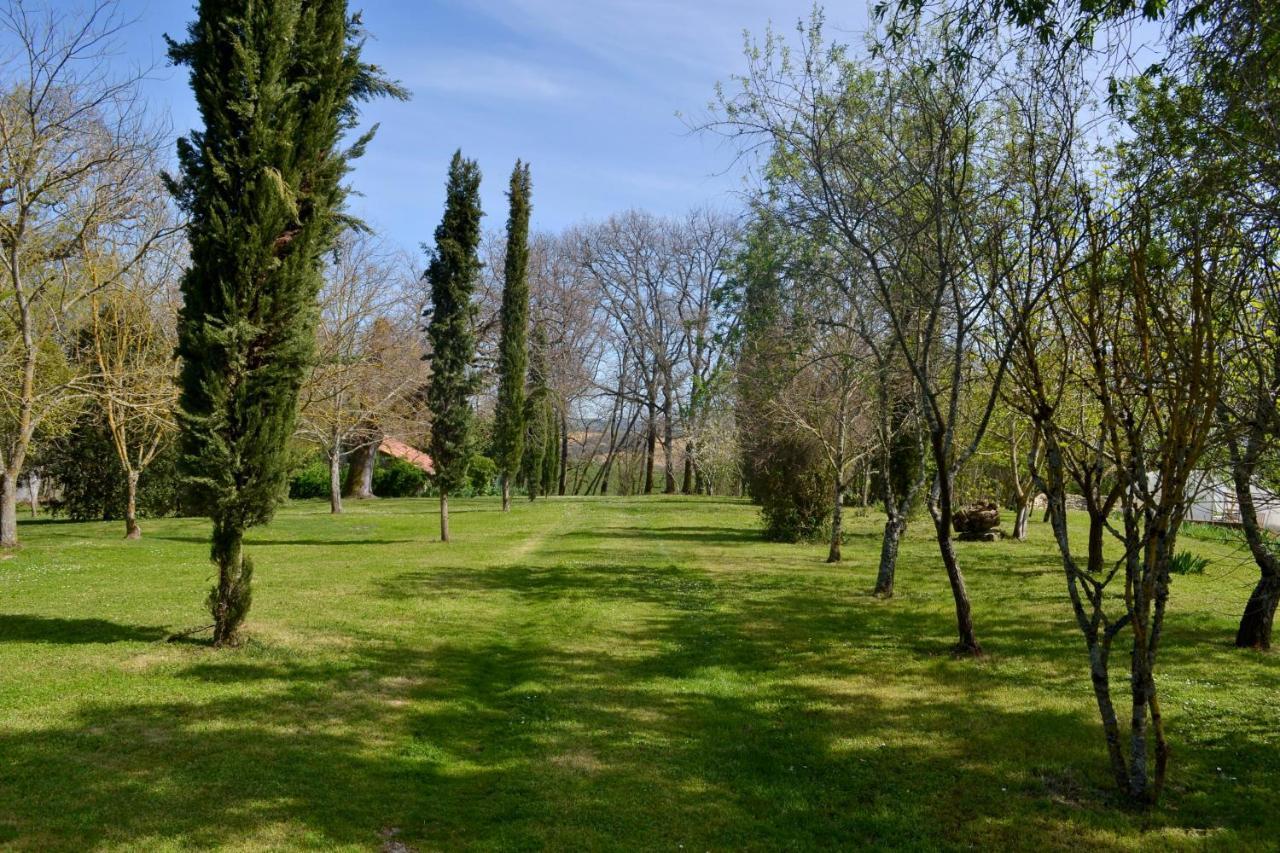 Chambre D'Hote Au Domaine Terre De Chenes Saint-Paul-de-Baise Extérieur photo