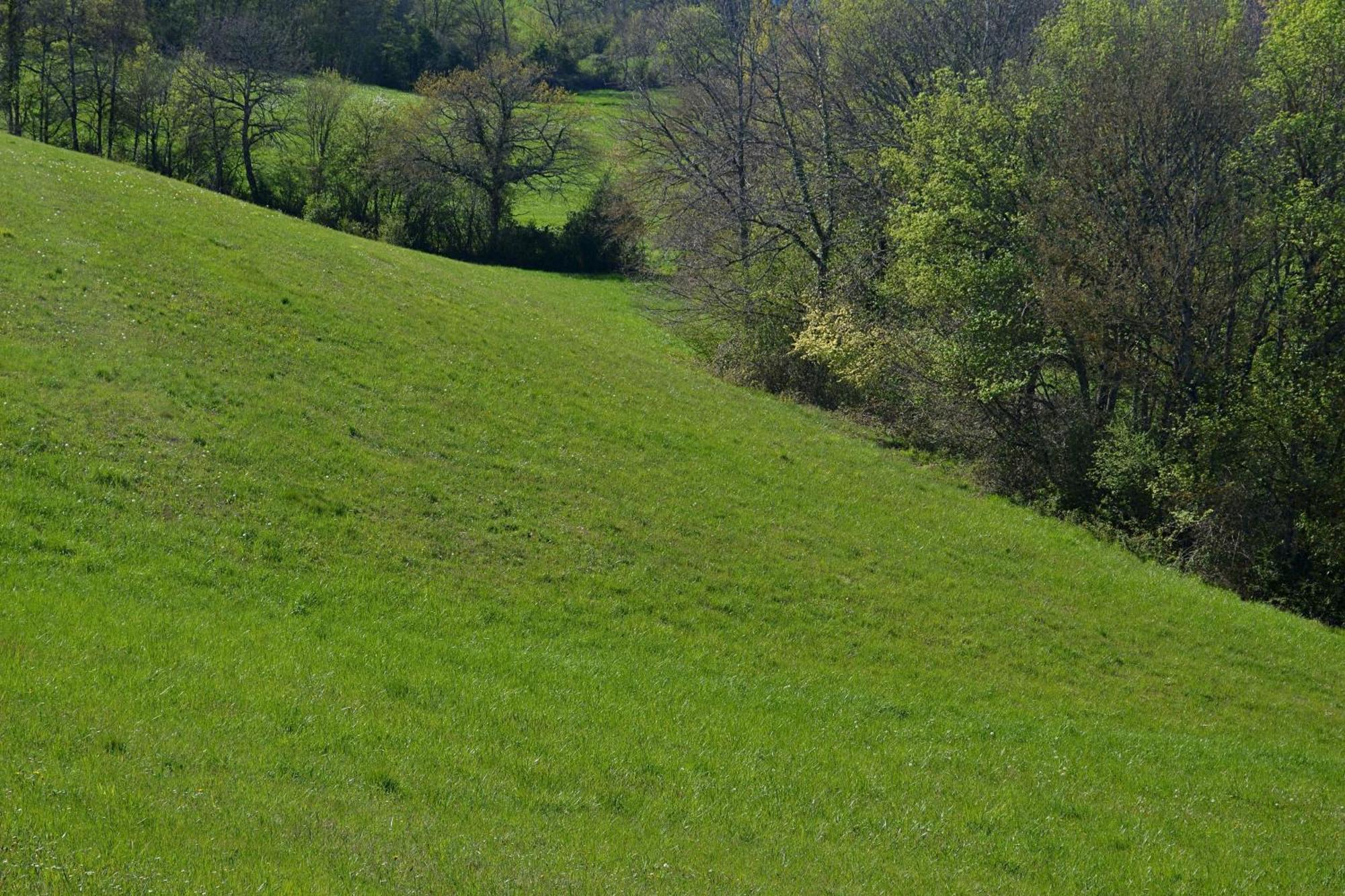 Chambre D'Hote Au Domaine Terre De Chenes Saint-Paul-de-Baise Extérieur photo