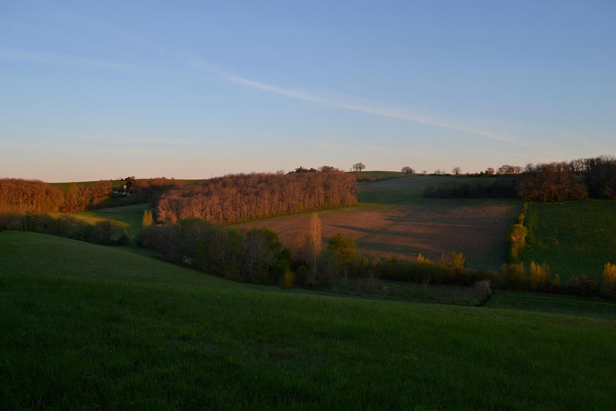 Chambre D'Hote Au Domaine Terre De Chenes Saint-Paul-de-Baise Extérieur photo